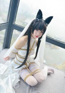 猎狼犬_1080P神马在线观看