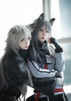 警花与警犬电视剧免费观看_4KHD在线观看