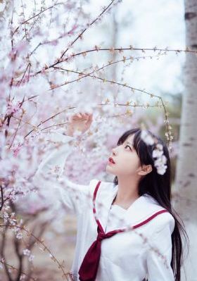 在线观看樱花动漫_在线观看电视剧